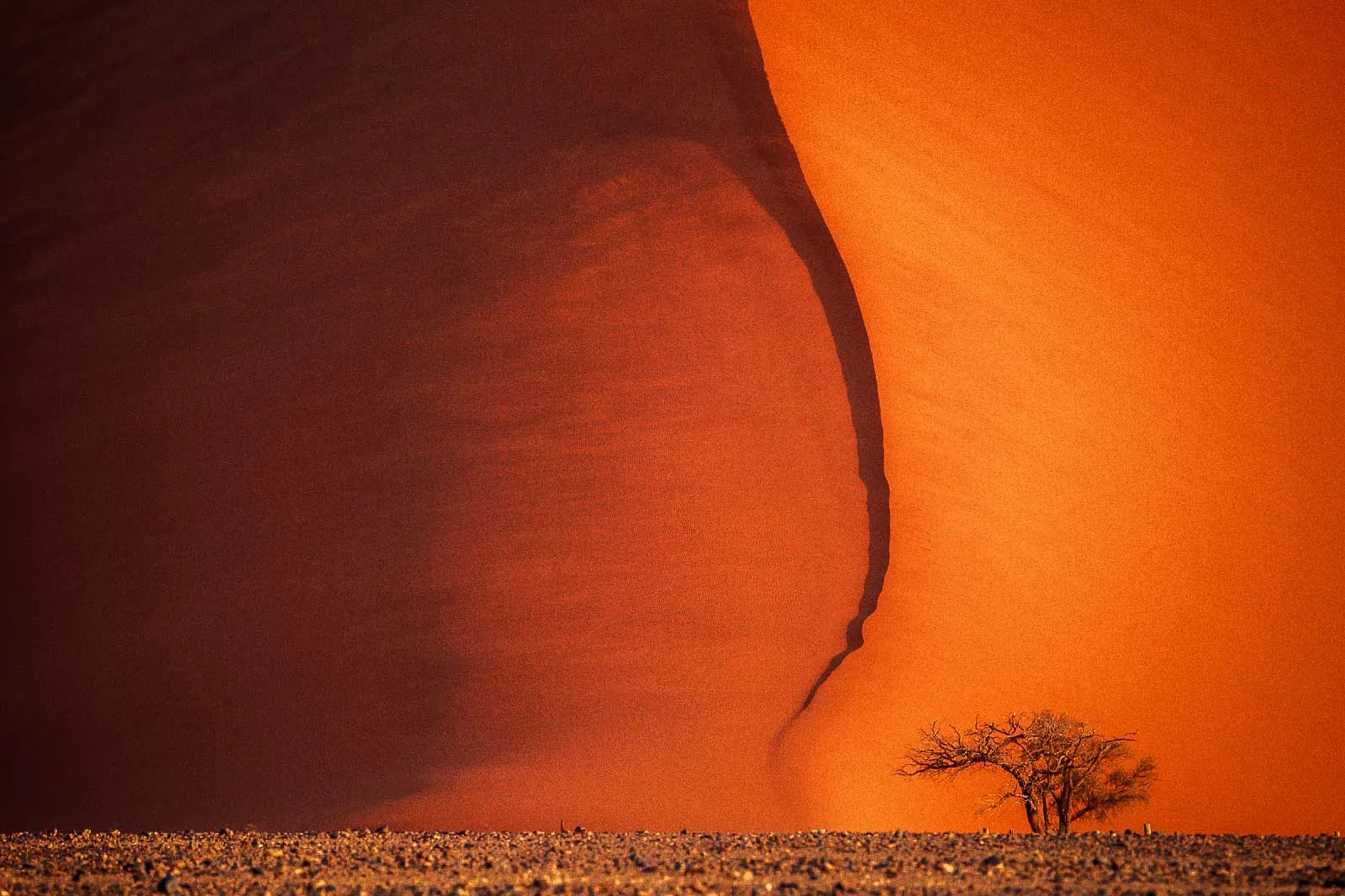 Namib desert landscape in Namibia